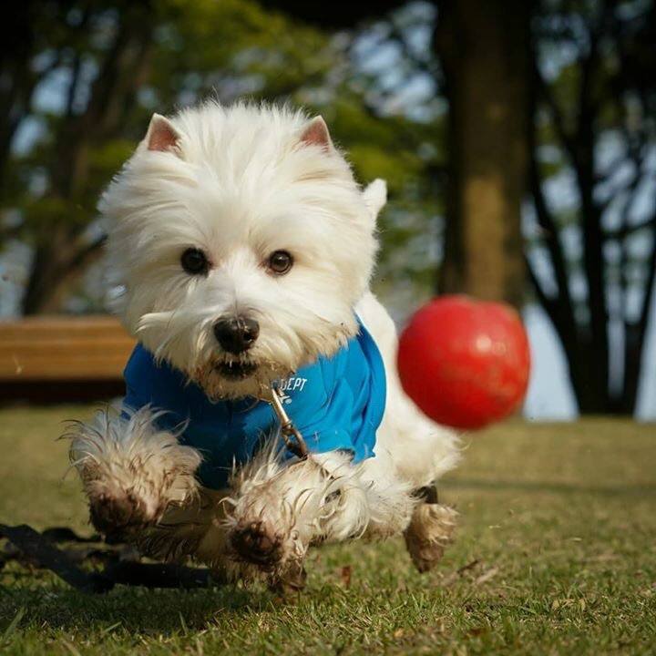 D0be3742 ae31 4a9f 9848 a8e72dfb48bc 1522723743672