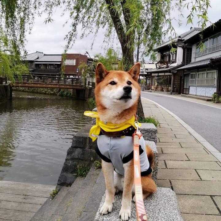 D0be5495 cfb1 4807 a2e7 f8dda1dfc542 1617708182816