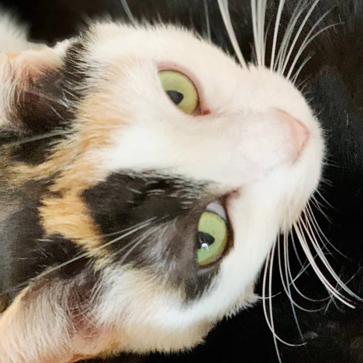 D0be5fb7 0789 439a bdb9 472681ae55fa 1552701328232