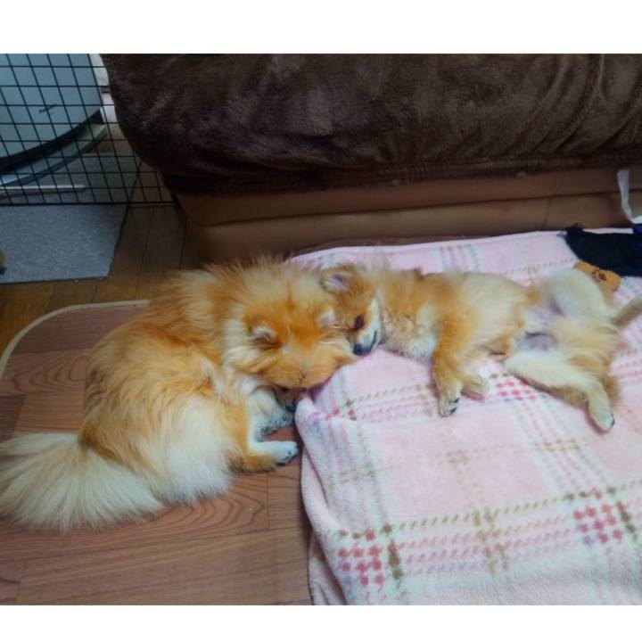 D0be93bb 3bbe 4b2e 97af 2e9696a2f04e 1524265004363