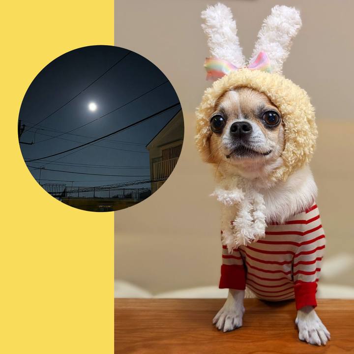 D0bec5c1 b0c0 41da 841e 5a5f388390f2 1726571298148