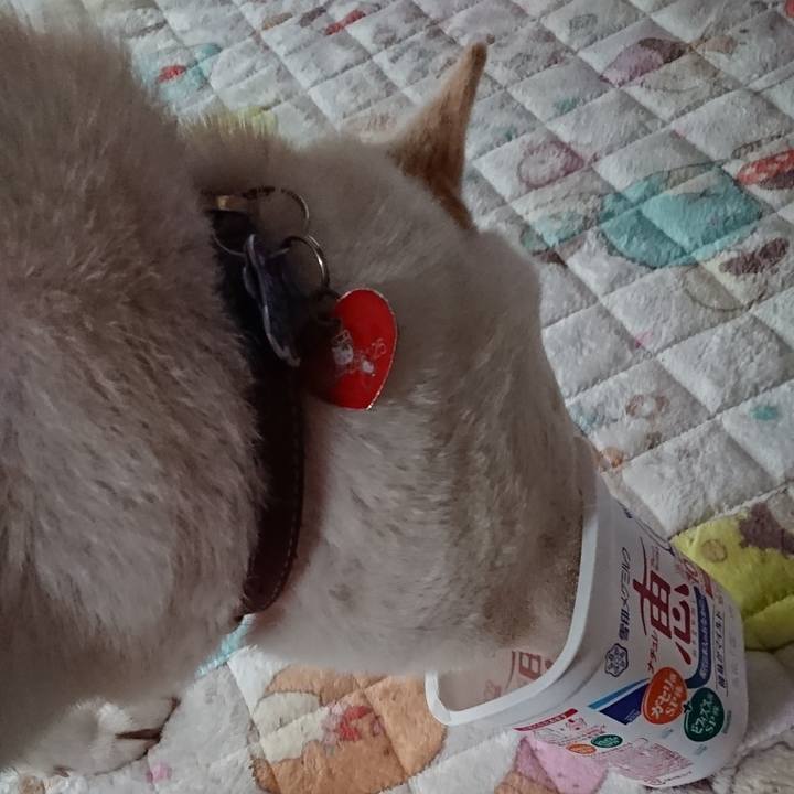 D0bef2ba 0f7b 4f66 94eb db11dec51619 1540505692925