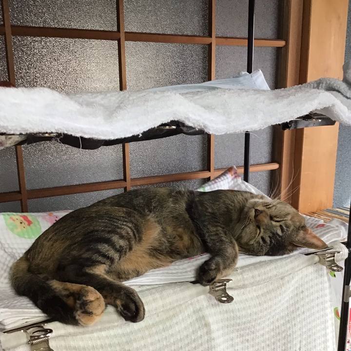 D0bef971 5bc3 4ce7 8c65 b285f75a73b5 1643503764396