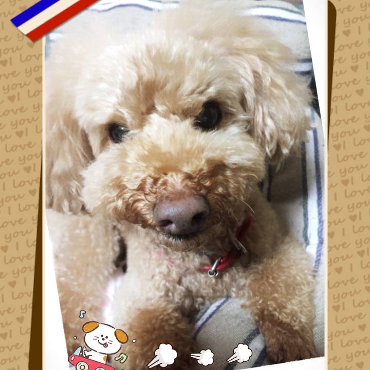 D0bf4a7e 9ded 42d9 920f 0be0303e4fe9 1516274951635