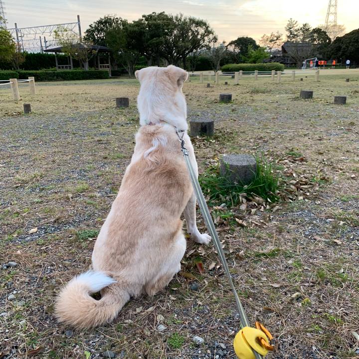 D0bf5566 fbd8 4d5c 8fa2 8d6a377e00f6 1554038849717