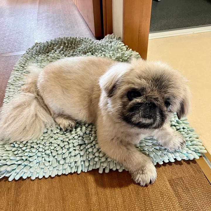 D0bf74a7 ea0c 4ebd b643 03a702e21d0b 1748320150051