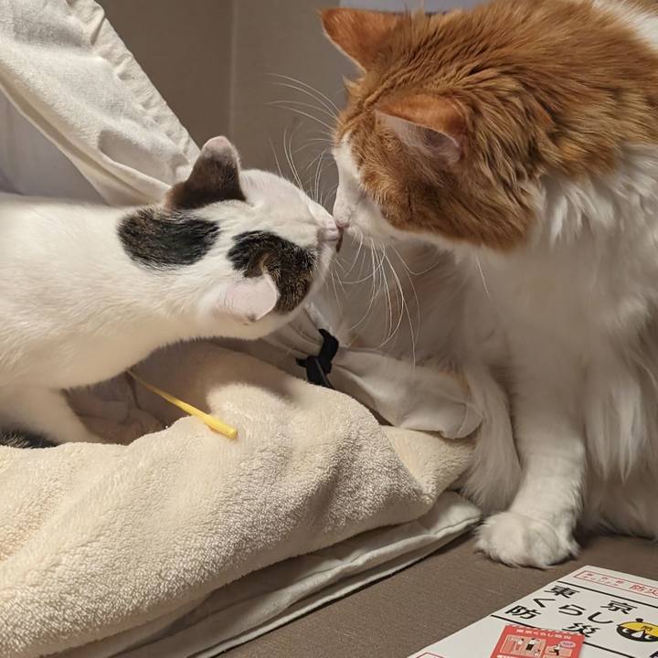 D0bfaefb 1e8f 461a 85fa 58115c7c7ff3 1707014125449