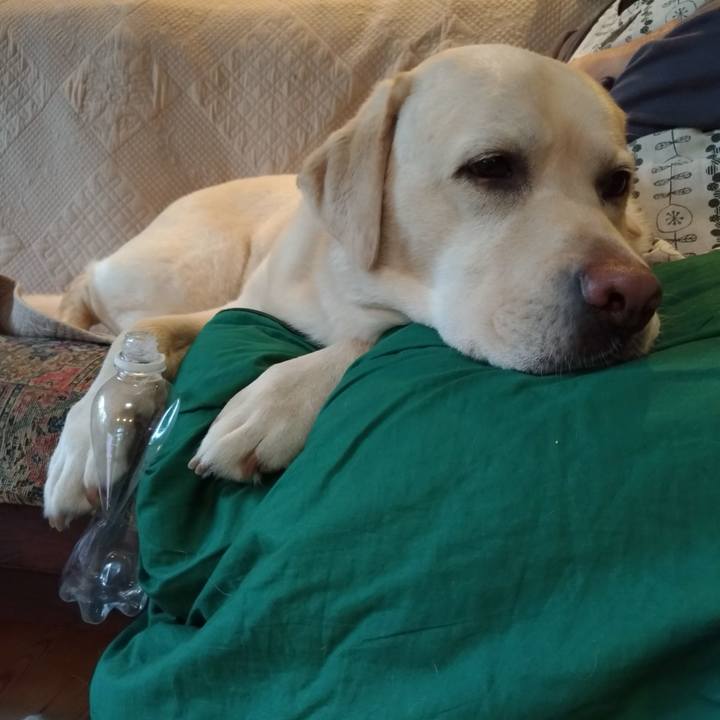 D0bfbb29 e3d9 467d 8314 48e76a2ec80a 1628755950921