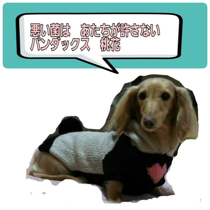D0bfbd19 df1c 435a 9602 3bb6d19e7a85 1508219359818