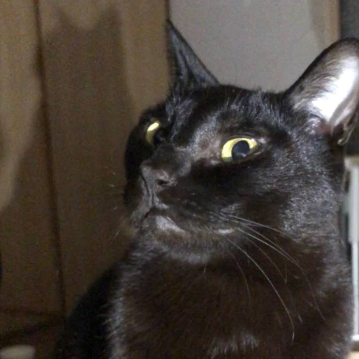 D0bfcf50 6b0f 4cd8 985c 92b6a247c830 1735909000300