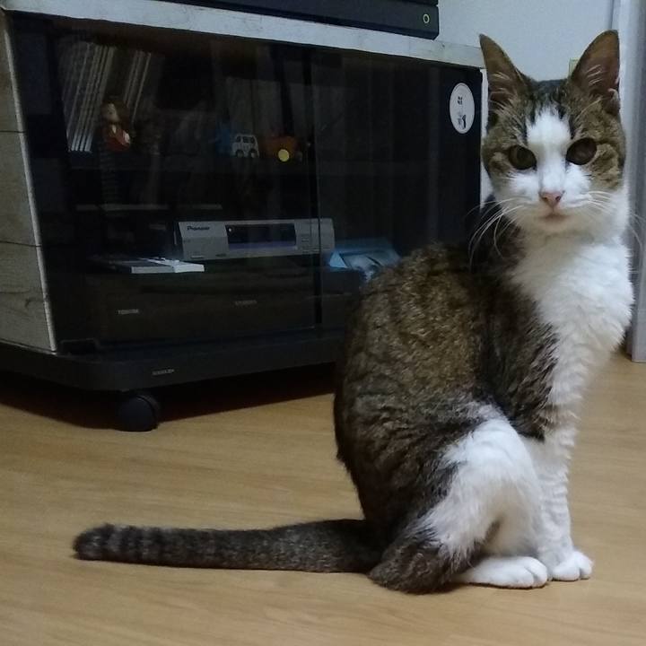 D0bfe1d3 1d0d 41b7 973e 282d62de7260 1560951190910