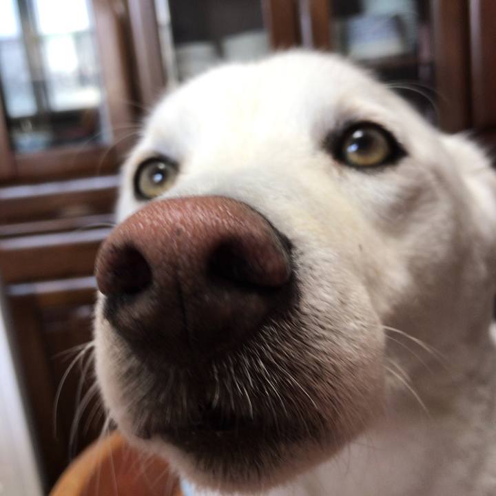 D0bfef7a c494 4452 b873 8ff3e718fdb1 1531956946461