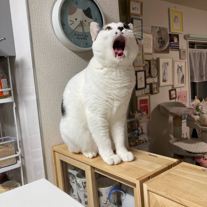 D0c00281 2125 4867 8573 9a13513b8e1e 1768768629745