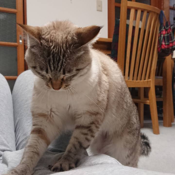 D0c00de2 38a1 4068 9c50 ccd5c5a92322 1518787061213