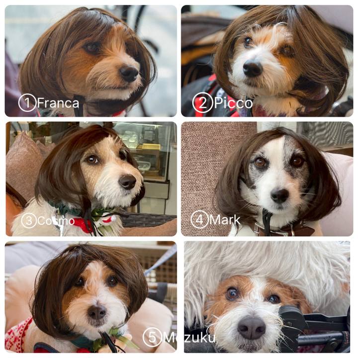 D0c047a8 4abd 40fc b912 83ba04709284 1763992531584