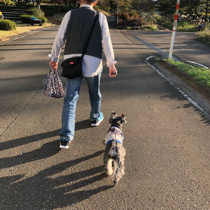 D0c0b41a 7e11 4665 8d33 4b74355bd44c 1636194335894