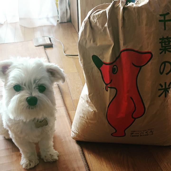 D0c0d239 0439 42b4 ba3f 71c20faabfd7 1571201563725