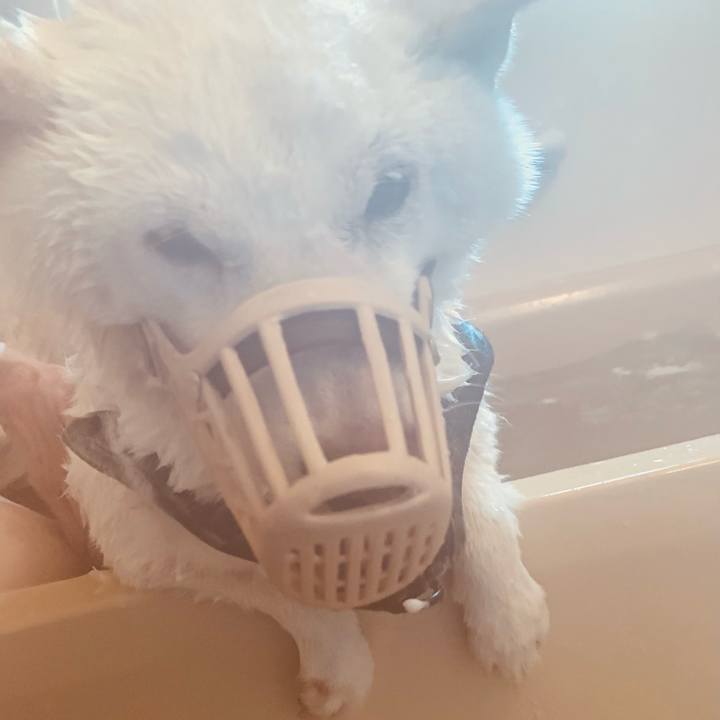 D0c0de4c fe44 4972 87f4 5391295fd7df 1633126970983