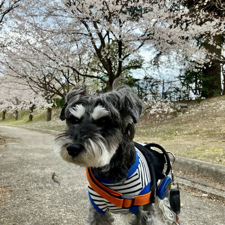 D0c16337 3957 4643 8aa4 73a11fd399e4 1744122469443