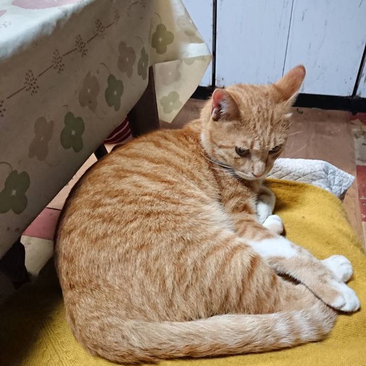 D0c18700 64bb 4f15 b378 8f7fbee91307 1570188038153