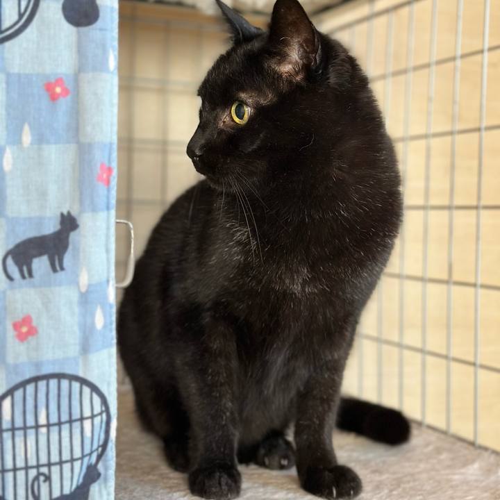 D0c1bfd1 32f7 4053 9279 3cebddf68b6f 1671671530036