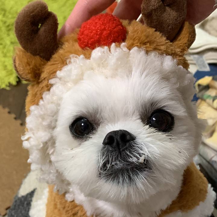 D0c1c846 8a89 4c6d be0f e3c3e5f2b50e 1640331357269