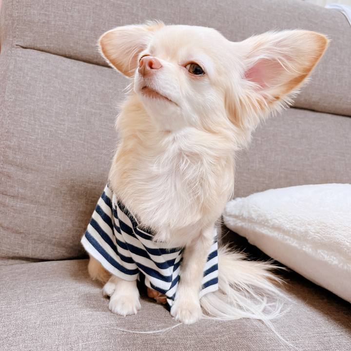 D0c1f4d6 fb2a 486e b05a dc6f4a943555 1675236979905