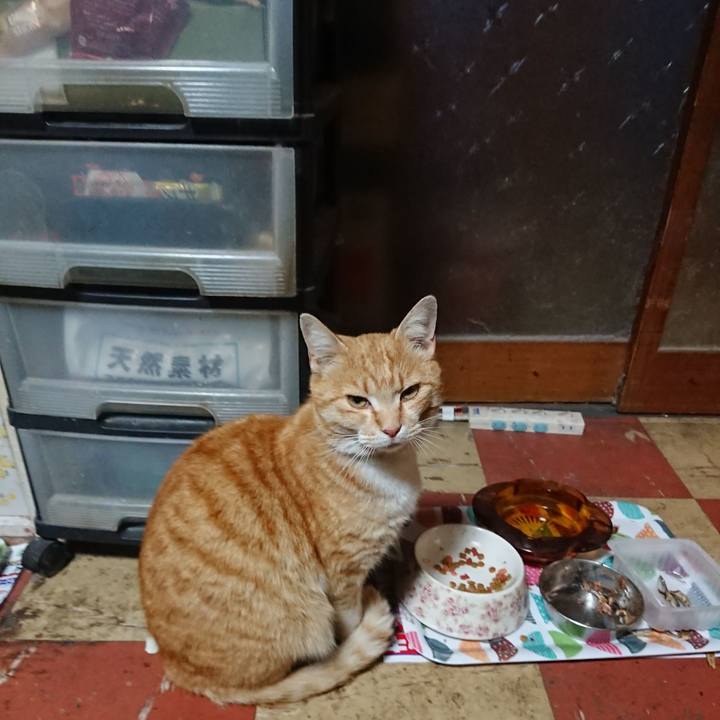 D0c2272f eda8 457a a125 c364354d2772 1586768593343