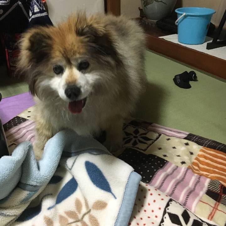 D0c272d9 5017 4d78 90e6 915ccd1deb8b 1600332162068