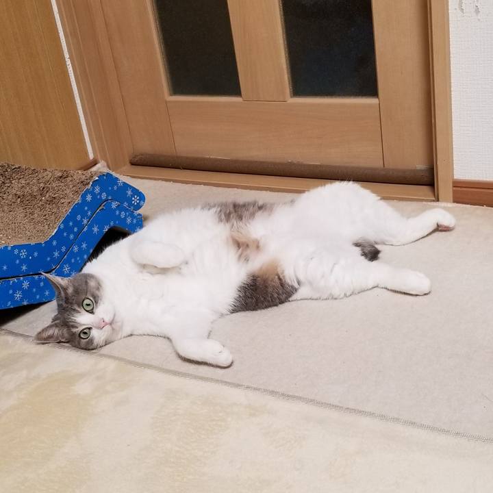 D0c280ca 8034 4aac a374 877e8a2ff778 1686576791318