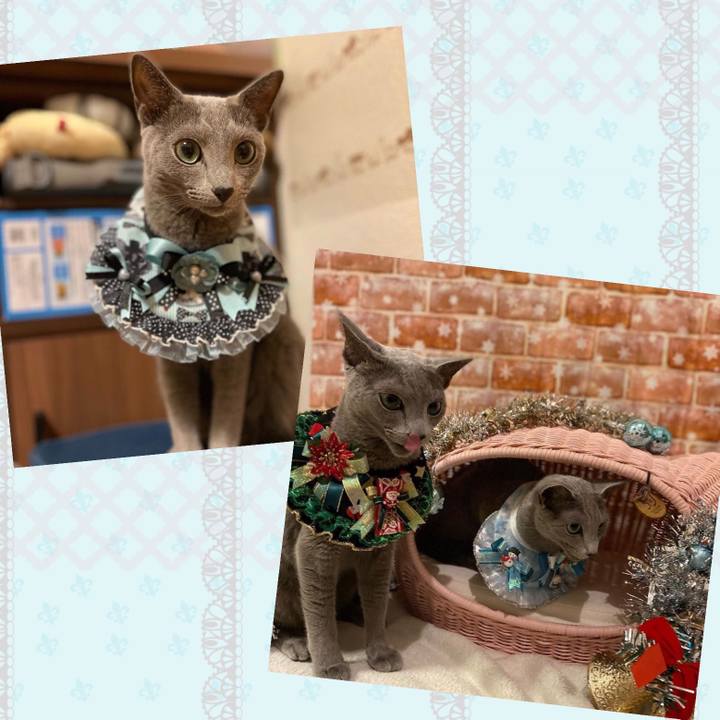 D0c285e0 c6f7 425a 8892 b8d0026536e7 1671507632310