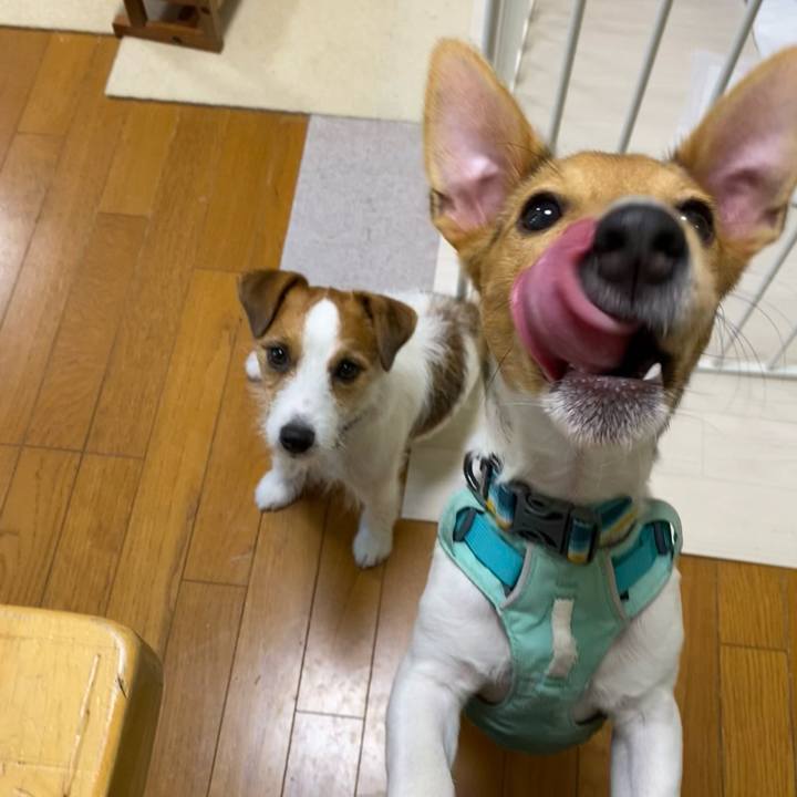 D0c2a69a b320 4b95 85ac 87a71a57f28b 1752098062756