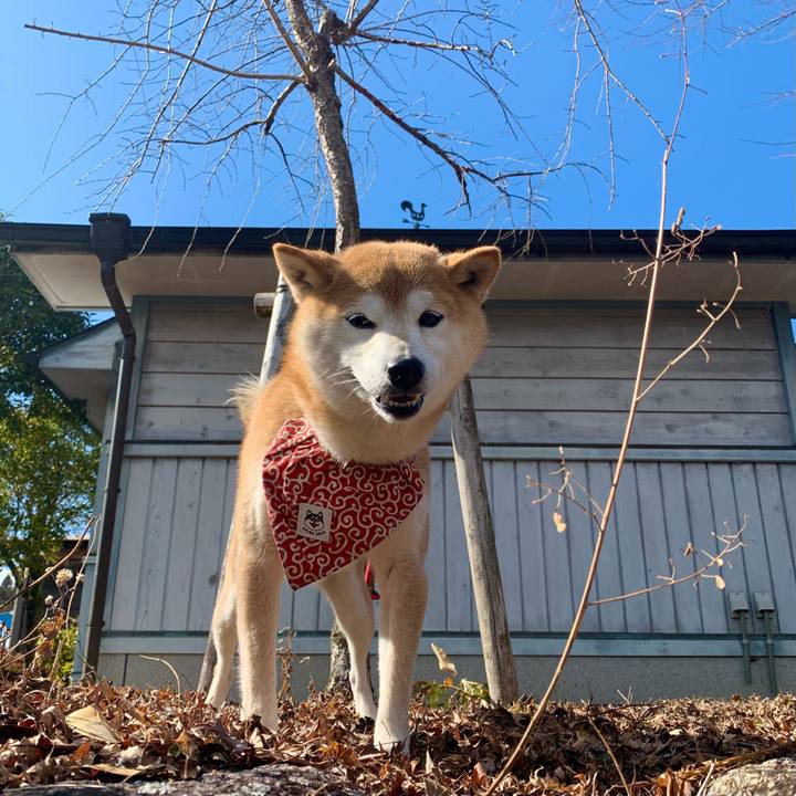 D0c2b1bb 9627 4d4b 99aa 8af38f169d0f 1644575095704