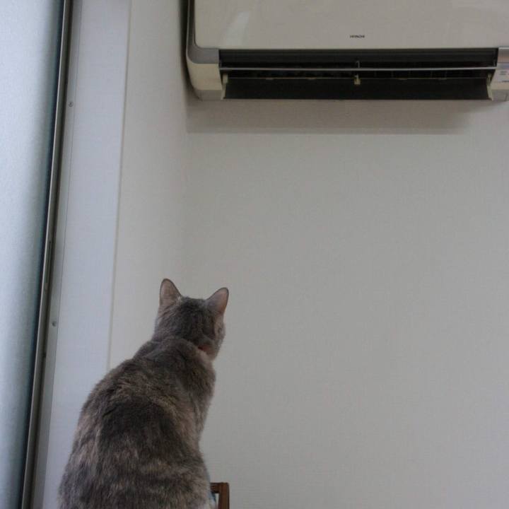 D0c32e1e 8f21 4b7b af69 cdb97b280ac0 1539652732681