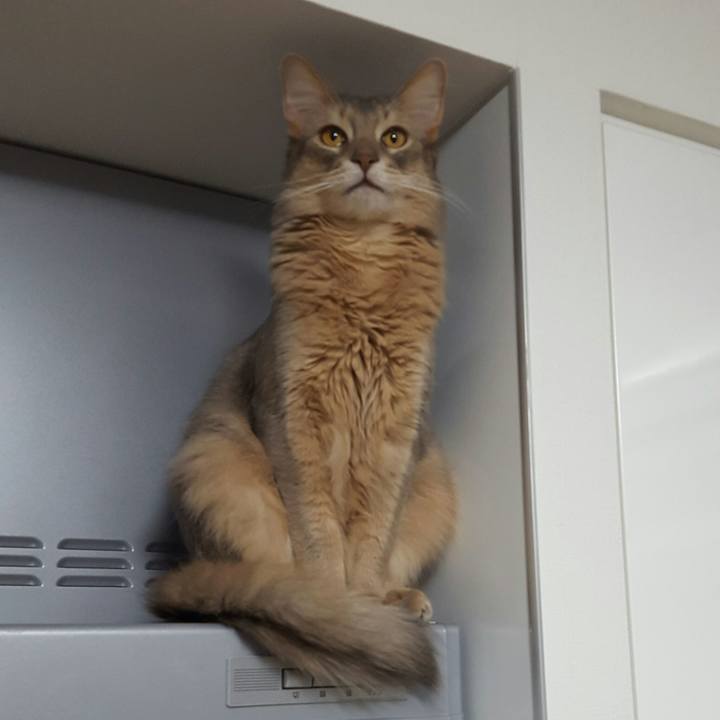 D0c32f48 75ee 4873 982f cf5ae42b6dab 1517129821049