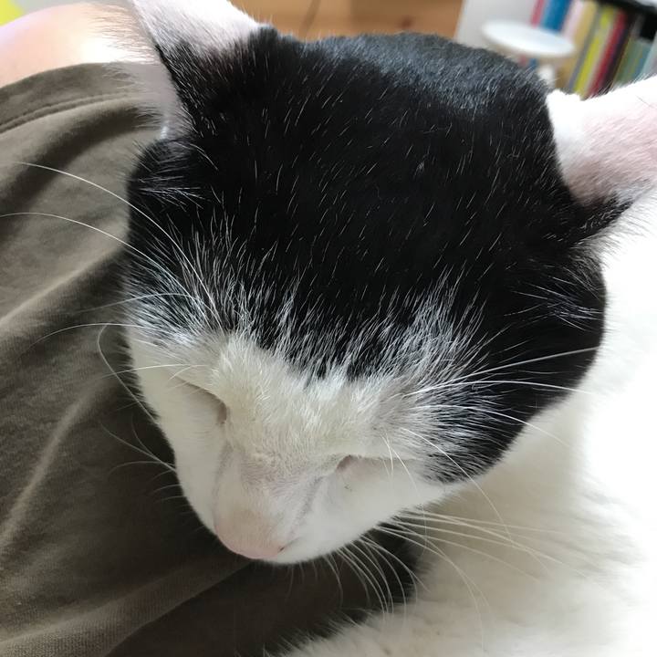 D0c353ea 65e1 428f 951d 1b367555f443 1536942080265