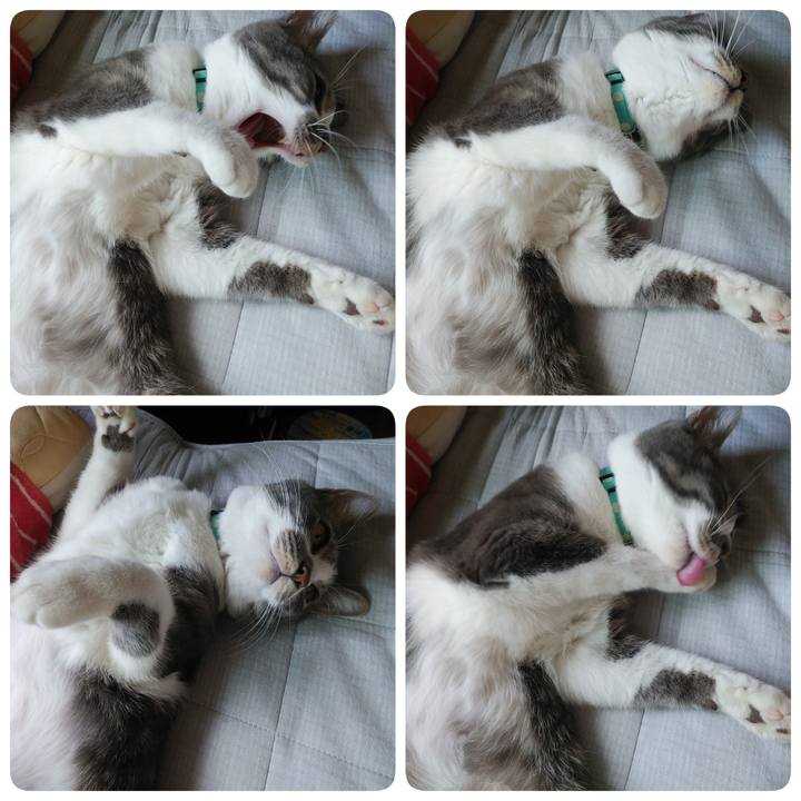 D0c39cd6 50eb 41af a478 a93d6046082a 1589498084133