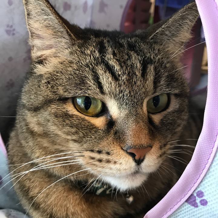 D0c41292 7447 47ac 877d 0e5ee471b4d9 1516513159165