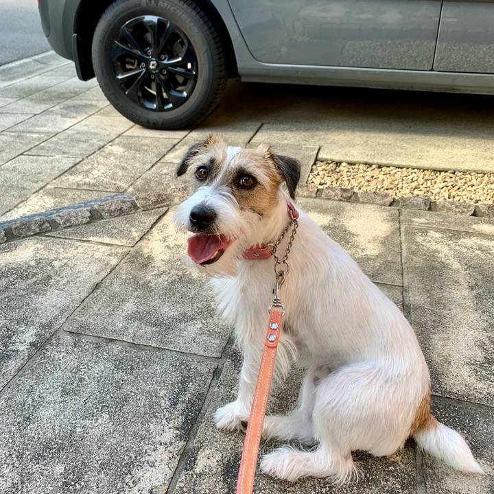 D0c41f1b 76a8 4273 a341 d331cebc7022 1626477639799