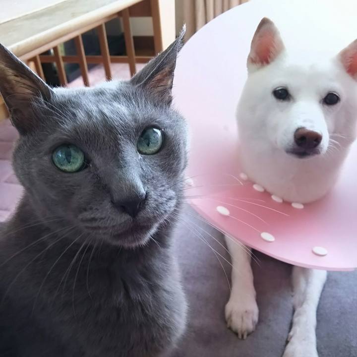 D0c42838 c9e8 429a 9210 45e9cf82e528 1599795393320