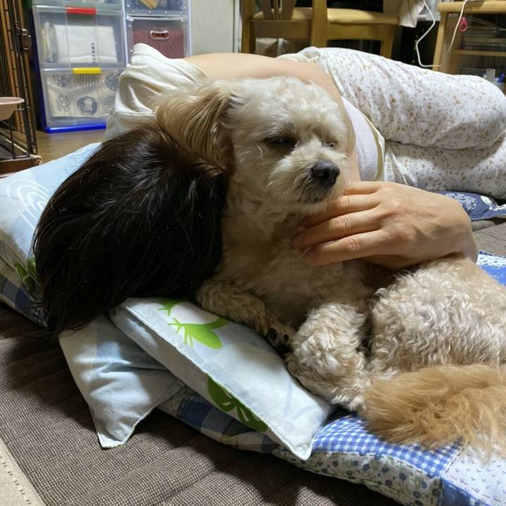 D0c43ab6 d92b 48bf 9e3f 5983560858ca 1594219663869