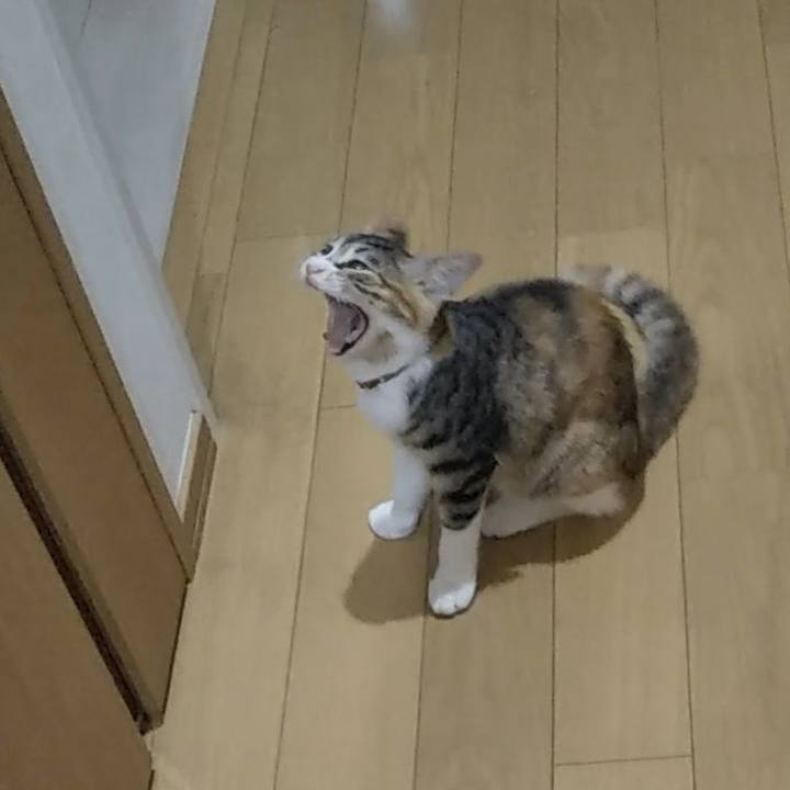 D0c4469b 19d6 45f0 bea3 a0a26040e1a4 1630411852645