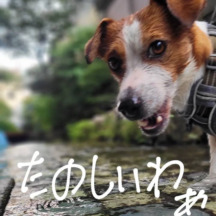 D0c45cfd 149b 4010 adc3 3d072e3057a0 1655508828727