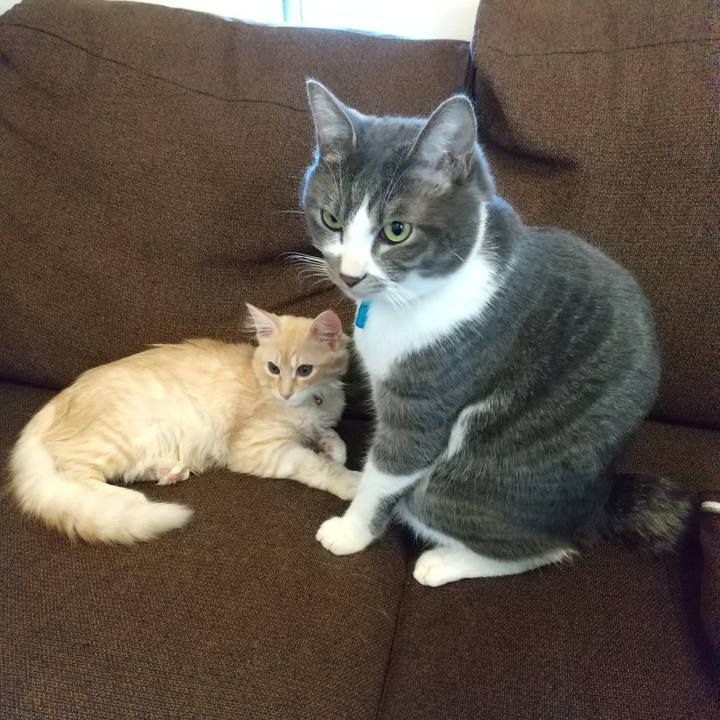 D0c46884 d20e 4413 a95d b97ef4887903 1608089389485