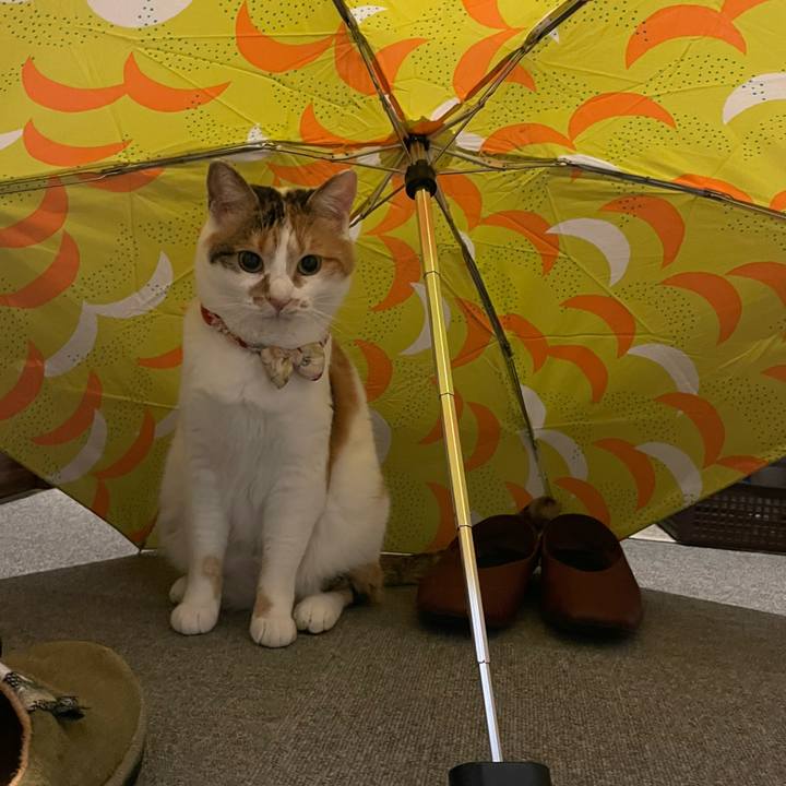 D0c4f584 eca4 42c8 8785 f74430f5bb7a 1650072084443