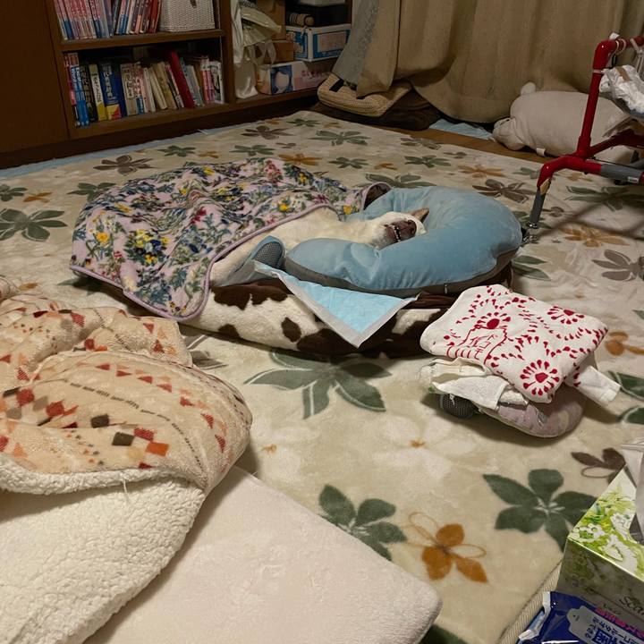 D0c526d4 4f73 4379 92d8 dd1665172e4b 1675694535061