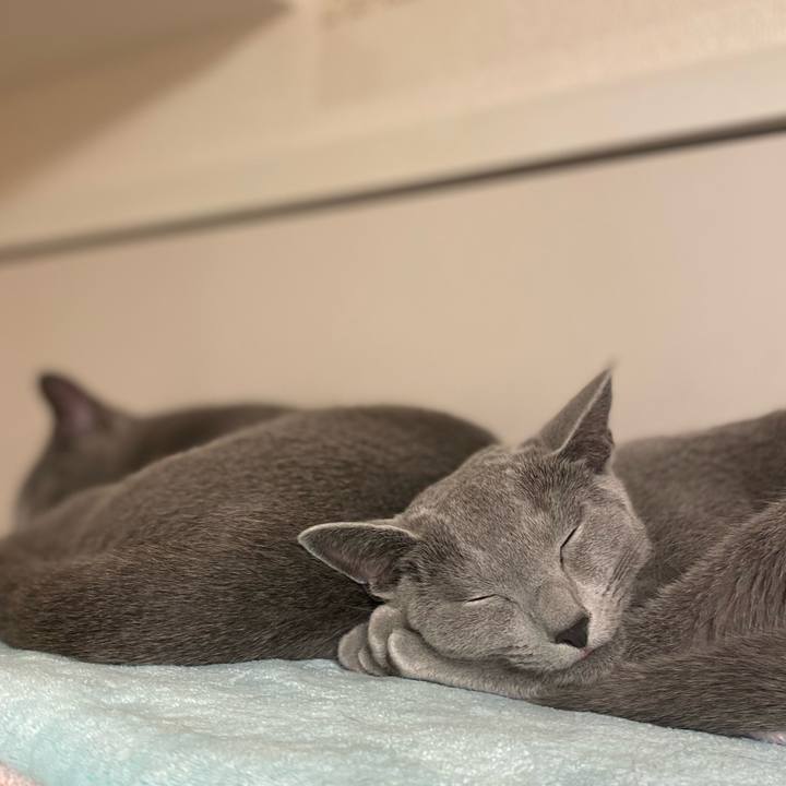 D0c5781a 0fc5 44a0 bc73 18c49001af5f 1624449085495