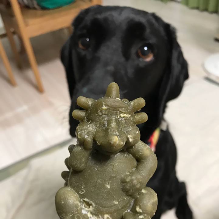 D0c57be2 6f5f 493f 8748 9eba639c10da 1538212200234