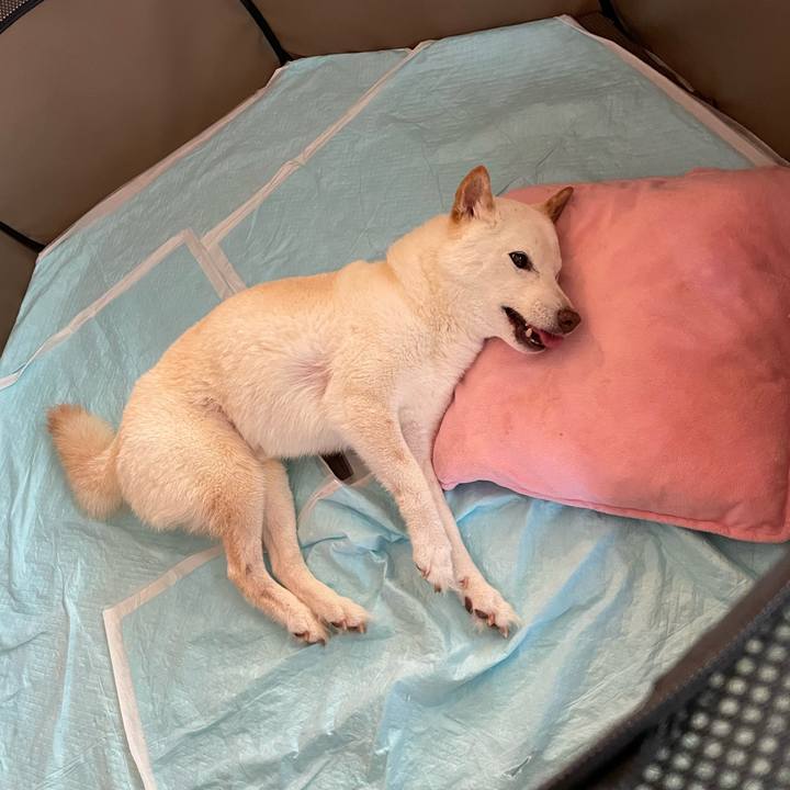 D0c58063 cedd 4b4a 84d9 d43f67bbae37 1655355796569