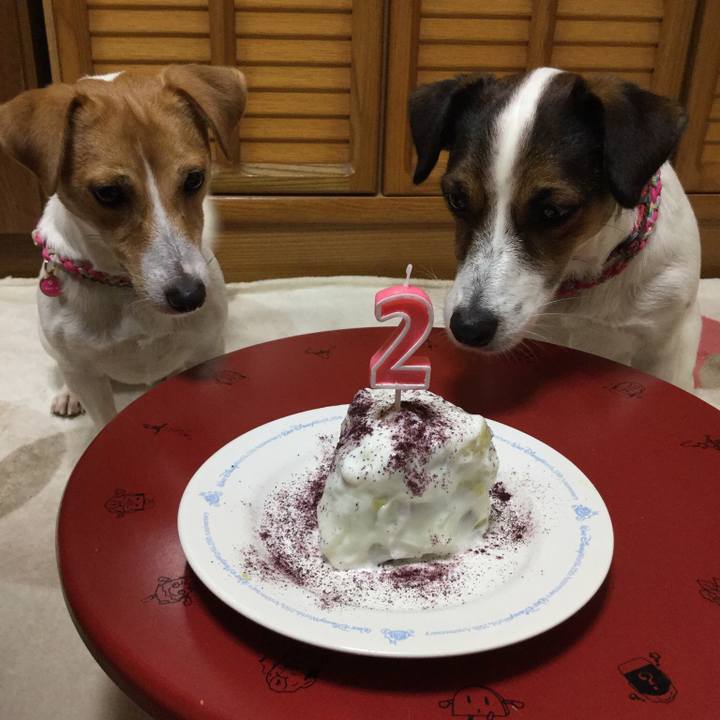 D0c59651 ae3b 4c00 95c1 624e29687327 1512275341397